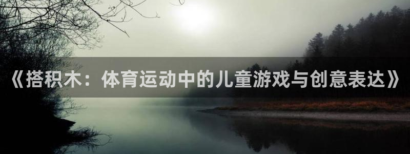 zyty中欧体育平台：《搭积木：体育运动中的儿童游戏与创意表达》