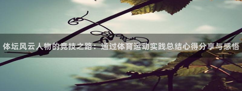 中欧体育集团：体坛风云人物的竞技之路：通过体育运动实践总结心得分享与感悟