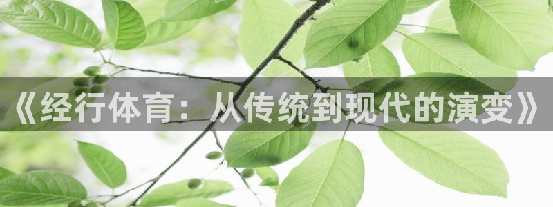 中欧体育平台：《经行体育：从传统到现代的演变》