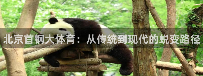 中欧体育全站app：北京首钢大体育：从传统到现代的蜕变路径