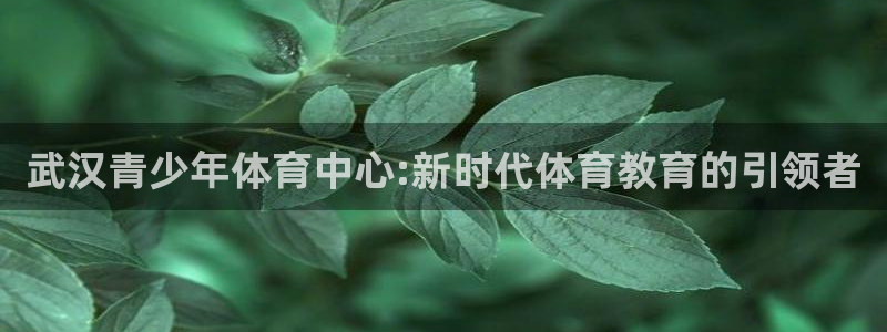 中欧体育网址：武汉青少年体育中心:新时代体育教育的引领者