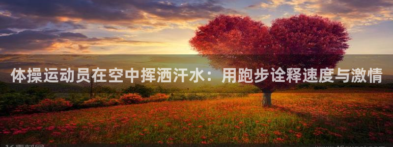 中欧体育app：体操运动员在空中挥洒汗水：用跑步诠释速度与激情