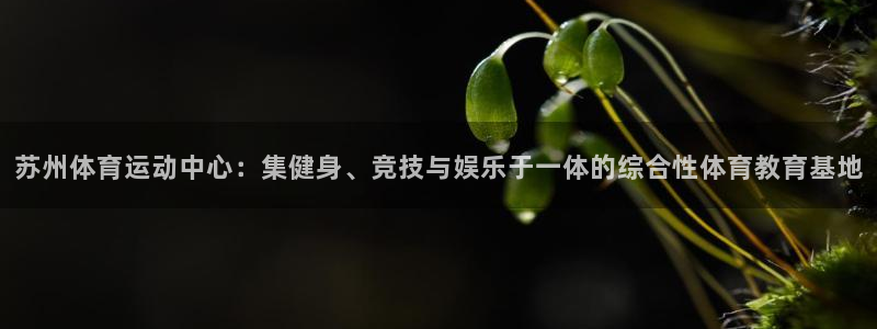 中欧体育集团：苏州体育运动中心：集健身、竞技与娱乐于一体的综合性体育教育基地