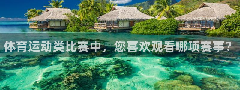 中欧体育网页登录：体育运动类比赛中，您喜欢观看哪项赛事？