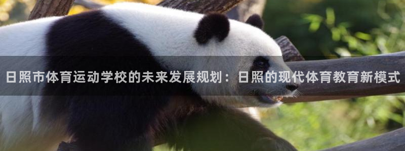 中欧体育全站app：日照市体育运动学校的未来发展规划：日照的现代体育教育新模式