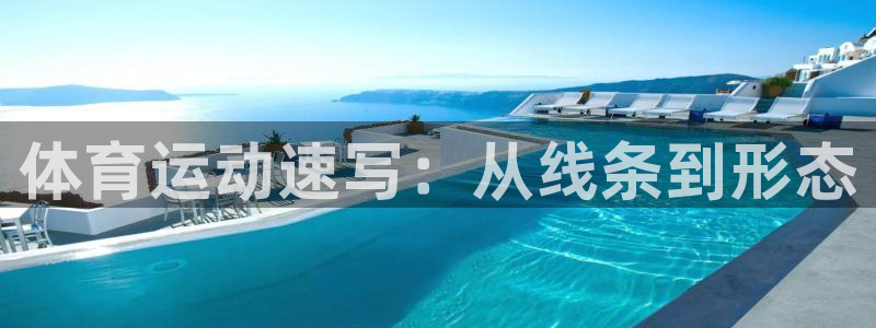 中欧体育集团：体育运动速写：从线条到形态
