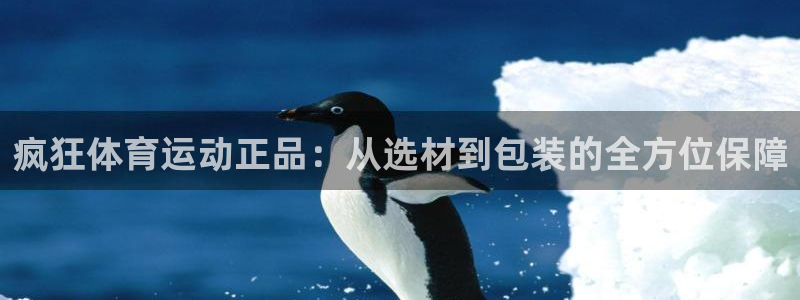 中欧体育李勇鸿：疯狂体育运动正品：从选材到包装的全方位保障