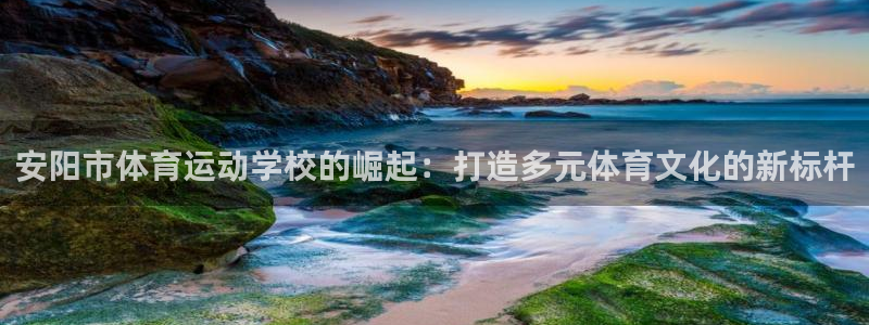 中欧体育平台：安阳市体育运动学校的崛起：打造多元体育文化的新标杆