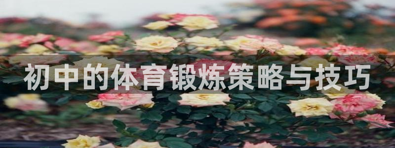 中欧体育集团：初中的体育锻炼策略与技巧
