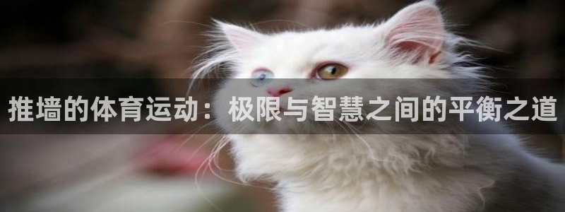 中欧体育ac米兰：推墙的体育运动：极限与智慧之间的平衡之道