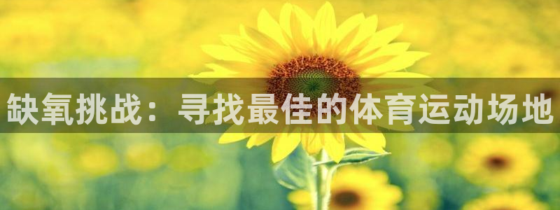 中欧体育官网：缺氧挑战：寻找最佳的体育运动场地