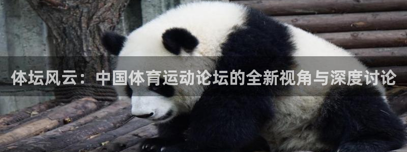 中欧体育app：体坛风云：中国体育运动论坛的全新视角与深度讨论